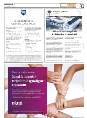 Síða 31