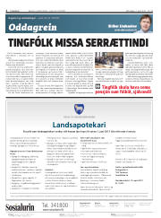 Síða 2
