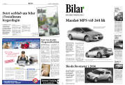 Síða 8