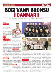 Síða 13