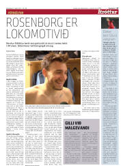 Síða 17