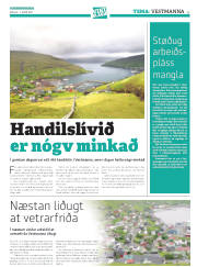 Síða 37