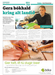 Síða 41
