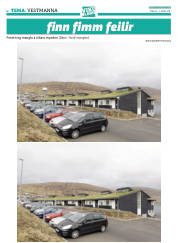 Síða 42