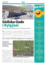 Síða 43