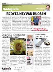 Síða 2