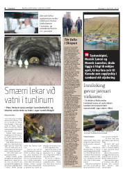 Síða 6