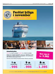Síða 13