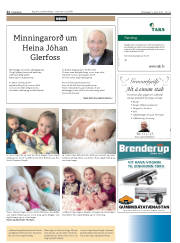 Síða 22