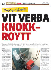 Síða 10