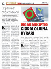Síða 12
