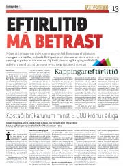 Síða 13