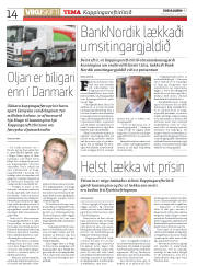 Síða 14