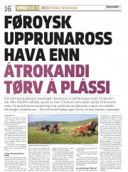 Síða 16