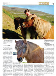 Síða 17