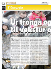 Síða 22