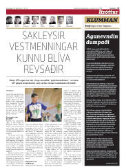 Síða 23