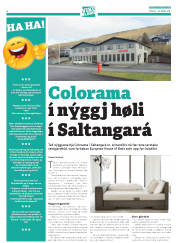 Síða 30