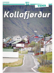 Síða 33