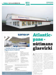 Síða 36