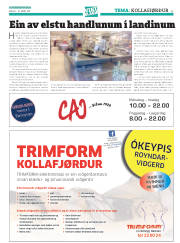 Síða 37