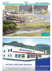 Síða 41