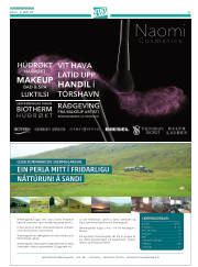 Síða 45