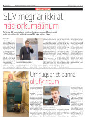 Síða 6