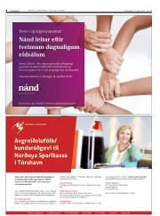 Síða 8