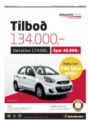 Síða 17