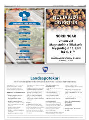 Síða 25