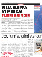 Síða 6