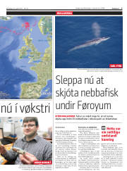 Síða 7