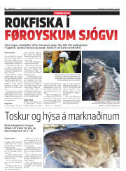 Síða 8