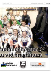 Síða 13