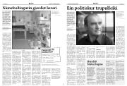 Síða 5