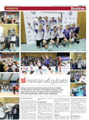 Síða 17