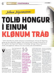Síða 6