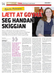 Síða 14
