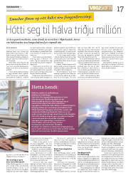 Síða 17
