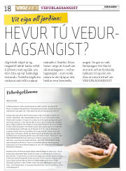 Síða 18