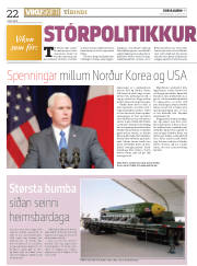 Síða 22