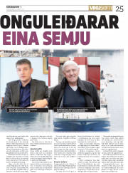 Síða 25