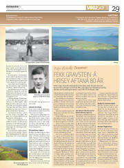 Síða 29
