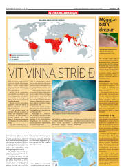 Síða 11