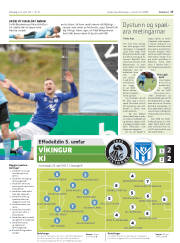 Síða 17