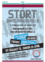 Síða 31