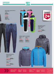 Síða 33