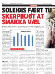 Síða 14