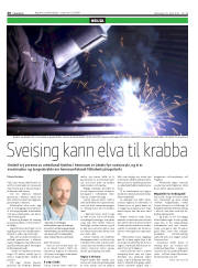 Síða 30